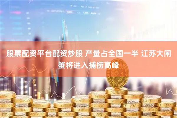 股票配资平台配资炒股 产量占全国一半 江苏大闸蟹将进入捕捞高峰