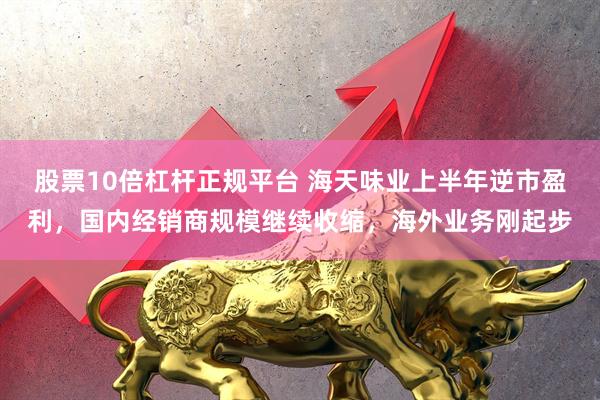 股票10倍杠杆正规平台 海天味业上半年逆市盈利，国内经销商规模继续收缩，海外业务刚起步