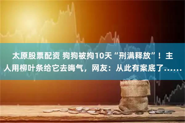 太原股票配资 狗狗被拘10天“刑满释放”！主人用柳叶条给它去晦气，网友：从此有案底了……